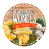 Logo Siomay Wondes Klien Jasa Landingpage 300